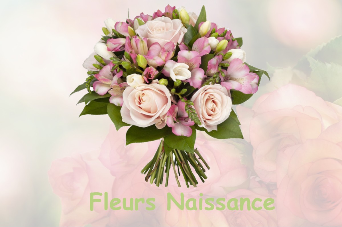 fleurs naissance BESSINES-SUR-GARTEMPE